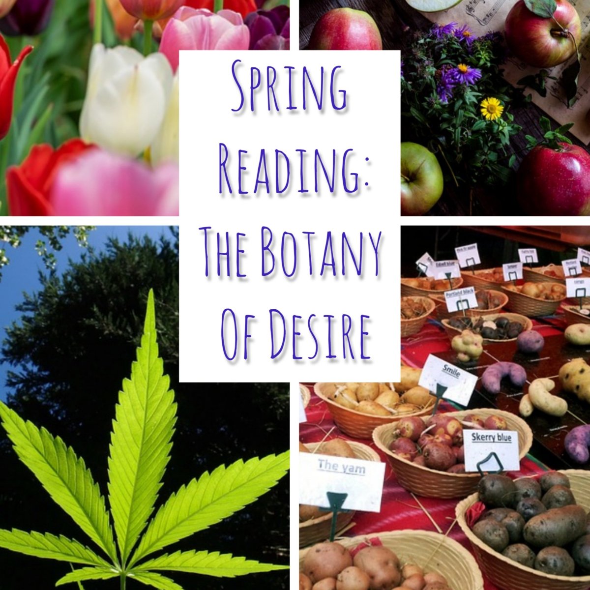 Are Plants Seducing Us to Further Their Own&nbsp;Species?