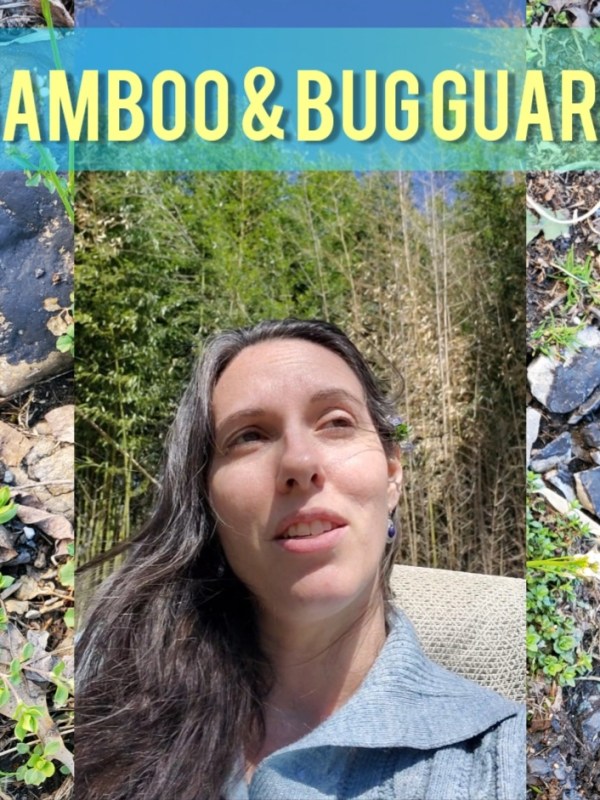 The Best Bug Spray for Outdoorsy&nbsp;People